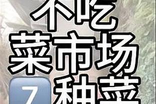 开云app官网入口网址截图2